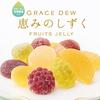 Western Confectionery Rokumeikan Megumi No Shizuku 44 Pieces 12 Types of Fruit Souvenir Sweets Bite (gift Jelly, Jelly)
