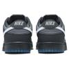 Nike Dunk Low Anthracite Unisex Sneakers Black Pure-Platinum Cool-Grey FV0384-001