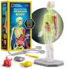 National Geographic Glow In the Dark Human Body Model for Kids Interactive Anatomy Model with Science Kit Stocking Anatomy Physiology Research 32