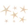 Sea Shells Size:0.5-3Cm 100Pcs Mini Starfish Craft Decoration Natural Sea Stars