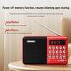 Newman K65 Portable Multifunction Bluetooth Radio Speaker