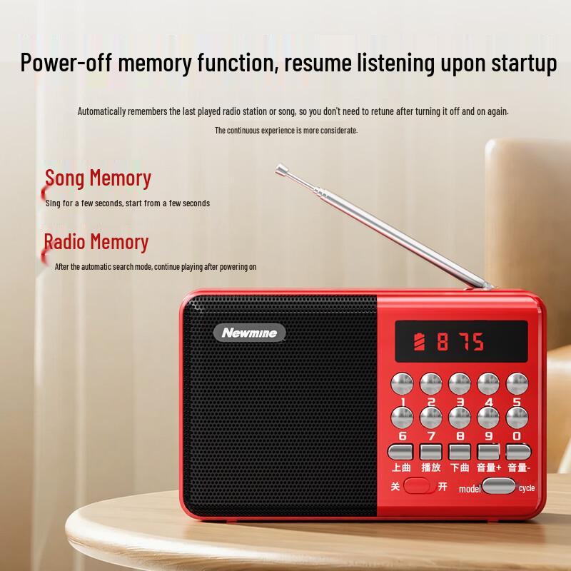 Newman K65 Portable Multifunction Bluetooth Radio Speaker