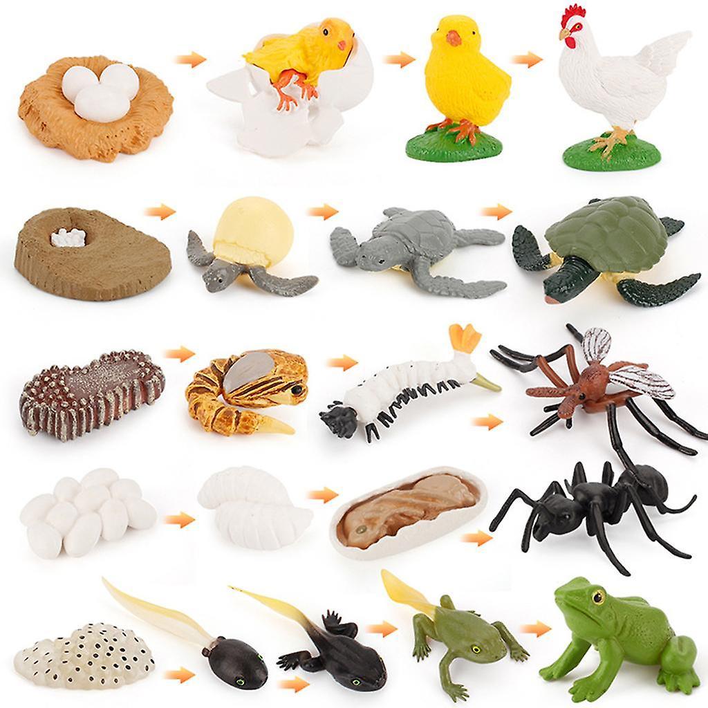 Early Education Kids Child Realistic Animal Growth Process Figures Toy Model