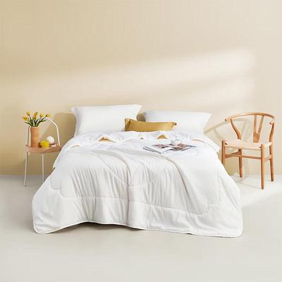 Four Seasons Soybean Silk Soft Double Quilt