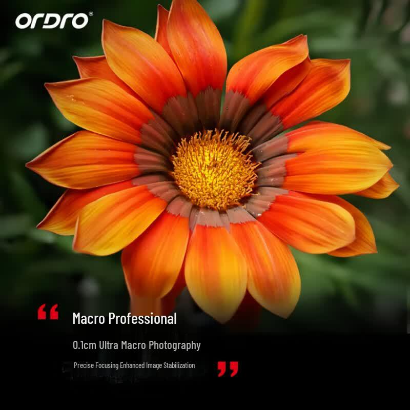 ORDRO AC5 4K/5K Professional Live Streaming Camcorder (CN version)