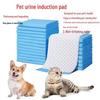 Pet Diapers: Thick, Deodorizing, Absorbent, and Waterproof Dog and Cat Diapers - Pack of 100 Pee Pads