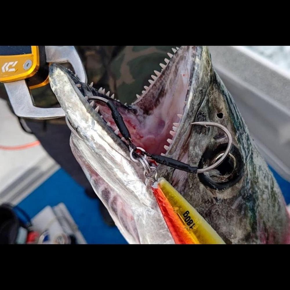 Daiwa DaiWa Saltiga ASsist Ss Light Jigging Type W Различные задние одинарные 3 0x