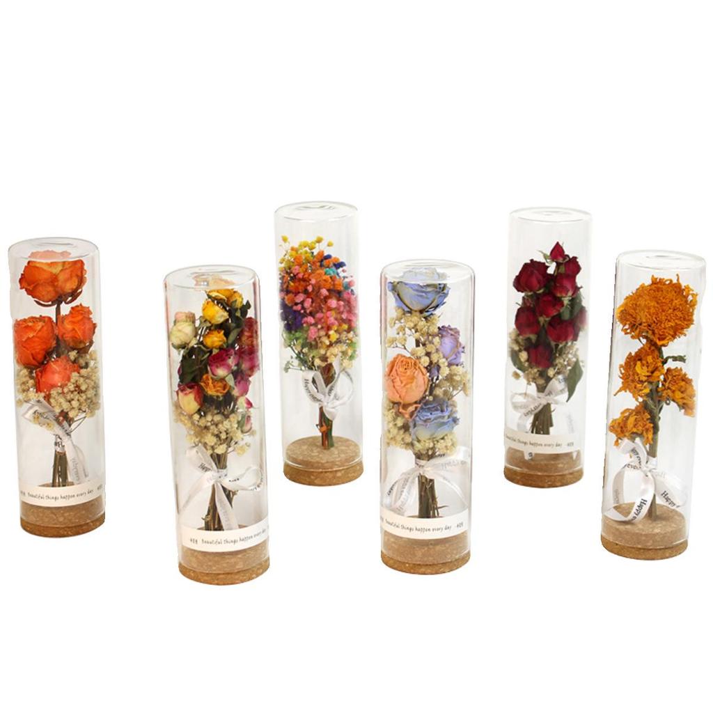Eternal Rose Glass Dome: Dried Flower Gift & Creative Souvenir Ornament