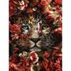 5D DIY Diamond Painting Kit Paint Flower Animal Fox Wolf Cat Tiger Full Round Embroidery Mosaic Cross Stitch Home Decor