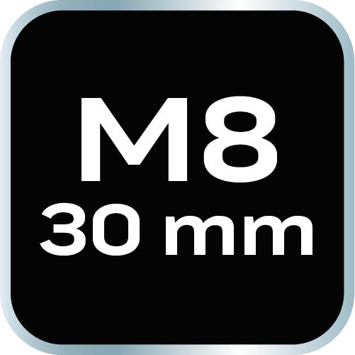 Spline tip M8 x 30 mm, S2 x 2 pcs.