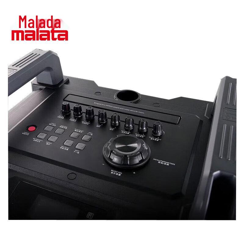 Malata New Juding Portable Trolley Speaker with Wireless Mic