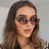Casual Retro Cat Eye Sunglasses Women Men Vintage Square Female Male Glasses Small Frame Fashion