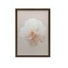 Pastelowy Kwiat W Detalu Pastelowy Kwiat W Detalu, 70X100 Cm, Rama Drewniana Jasny Dąb, Papier Matowy 230 Gsm