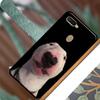 Чехол с английским бультерьером для OPPO A74 A54 A94, чехол для OPPO A31 A53 A53S A5 A9 2020 A5S A15 A83 A91 A52 A72