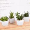 Simulation Plant Decoration Potted Plant Nordic Green Plant High Imitation Ornament Home Living Room Fake Flower Succulent Decoration