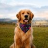 День святого Валентина Одежда для домашних животных Шарф для воды Love Pet Шарф для собак Аксессуары для домашних животных Шарф для собак