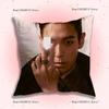Pop Singer Choi SSeung HyunS Anime Pillow Case Antidustmite Pillowcase Invisible zipper silky short plush Sofa cushion cover