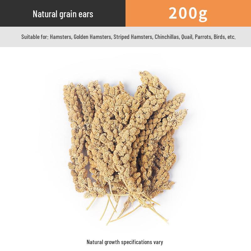 Parrot and Cockatiel Treats: Tiger Skin Grain Ears, Bird and Hamster Snacks, Training Rewards