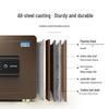 Tiger Borui Series Fingerprint Keyless Steel Safe