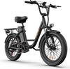 URLIFE E20 Multi Terrain Electric Bike For Adult 48V13Ah Battery 500W Motor E-Bike 20 Inch Fat Tires Urban Commuting Electric Bicycle With TowSeat