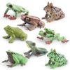 Simulation Amphibian Frog Triangular Dead Leaf Frog Red-Eyed Tree Frog Darwin Frog Static Model Ornament