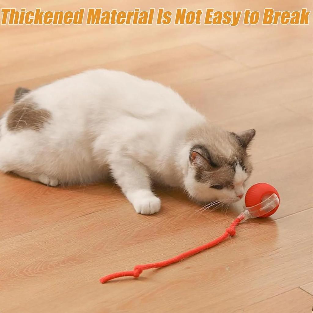 New Interactive Cat Toy,Ulvra Ball Toys for Cat (Red+Blue)