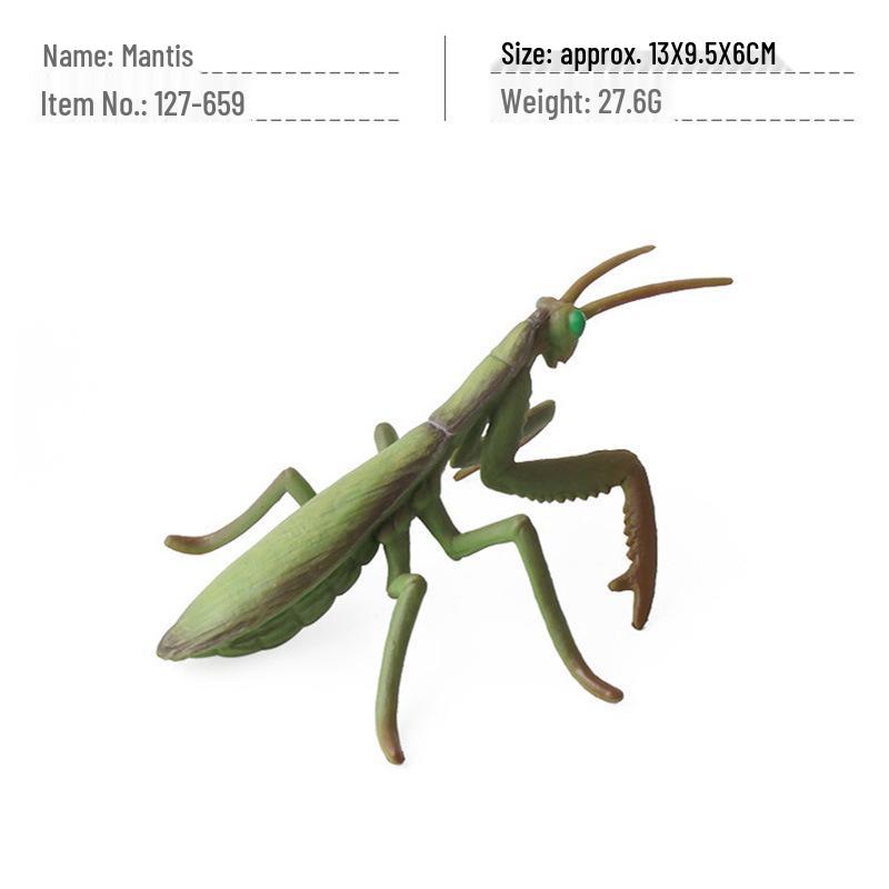 Набор детских познавательных моделей насекомых для трансграничной торговли