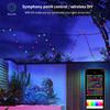 Waterproof Smart 5V RGBIC WS2812b Led Strings Fairy Light 10M 100Leds Dreamcolor Chasing Home Outdoor Decoration Music Sync