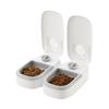 Dog Feeder Cat Automatic Feeding Water Bowl with Timer Pet Food Storage Dispenser Container Pets Puppy Kitten Accessories