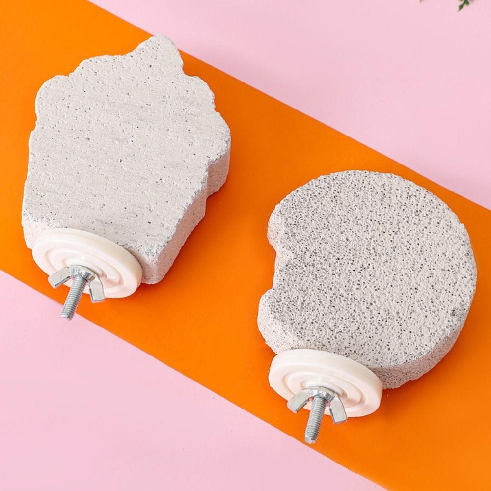 Pumice Bird Perch Stand Claw Grinding Bird Resting Platform Sturdy Parrot Stand Board Lovebirds