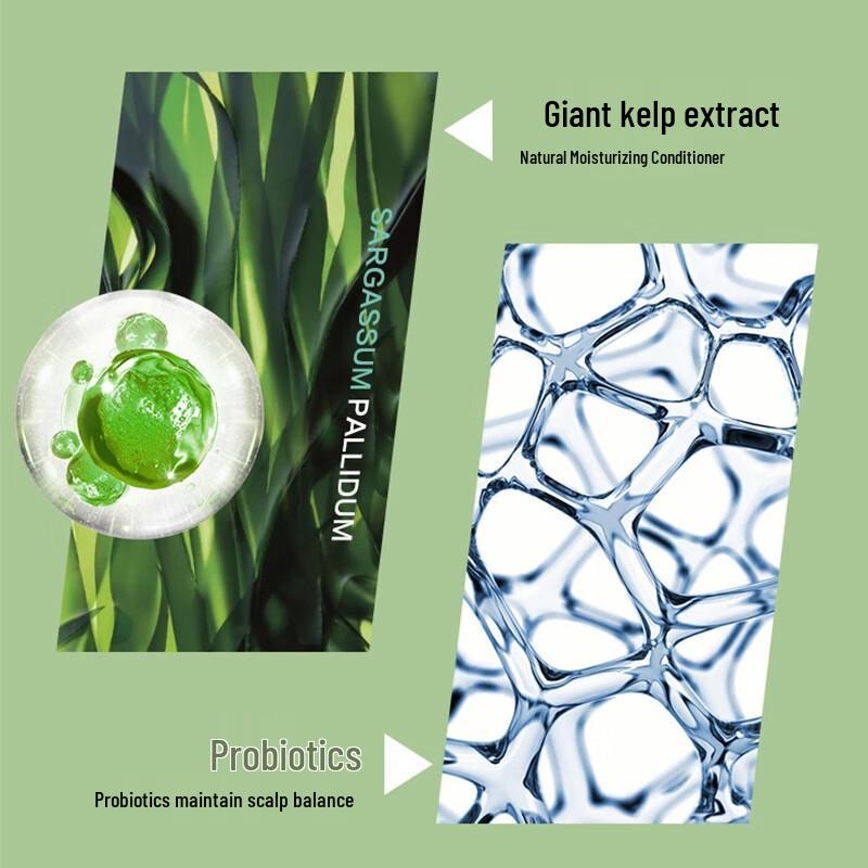 POTE Seaweed Anti-Dandruff Shampoo