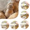 1/3/6Pcs Keepsake Box Pet Souvenirs Keychain Pendant for Cat Pet Fur Cute Transparent Memorial Bottle Storage Capsule