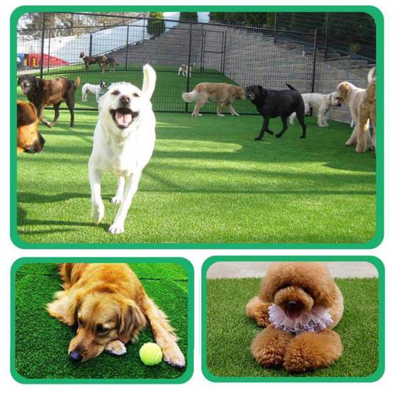 ПЭ Имитация газона Искусственная трава Ковер Для помещений и улицы Реалистичная трава с дренажными отверстиями Низкий уход Коврик для собачьей мочи Легкий