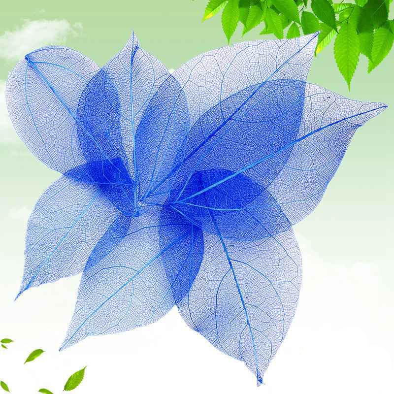 Тиснение 30 шт. Сухоцветы Чехол для телефона DIY Орнамент Аксессуары Ручная работа Материал Натуральный Алмаз Вены Изготовление Тиснение