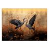 Wallpaper Crane Nature Birds
