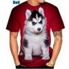 Summer New Fashion 3D T-shirt Animal Siberian Husky Funny Personality Creative Summer O-neck T-shirt
