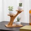 Tree Branch Shape Succulents Bonsai Organizer Bamboo Shelf Desktop Plants Stand  for Window