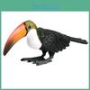 Wild Simulated Animal Big Billed Bird Ramphastos Toco Model Toys Ornament
