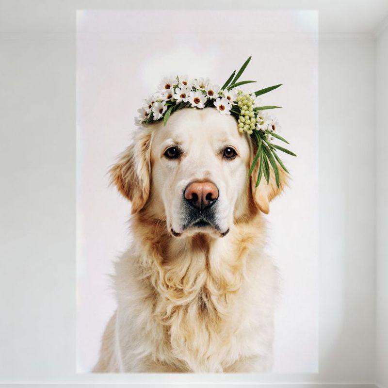 Жестяная табличка "Золотистый ретривер со светло-золотистой шерстью" - Металлический плакат с цветочным венком, Настенный декор со спокойной собакой для бара, паба, дома, кафе, 8x12 дюймов