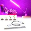 LED Plant Light Growth Light USB Home Green Plant Flower Seedling Full Succulent Supplement Light