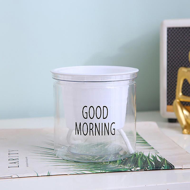 Mini Self Watering Flower Pot Fish Tank Transparent Plastic Plant Pots Self Watering Planter Pot Vase For Home Decoration