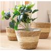Nordic INS Straw Weaving Flower Plant Basket Grass Planter Indoor Outdoor Garden Pot Covert Container for Plantable Bonsai Decor