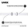 Uvex Двойные очки для лыж и сноуборда Element LGL Детские очки, Линза, Антизапотевание, Совместимые,