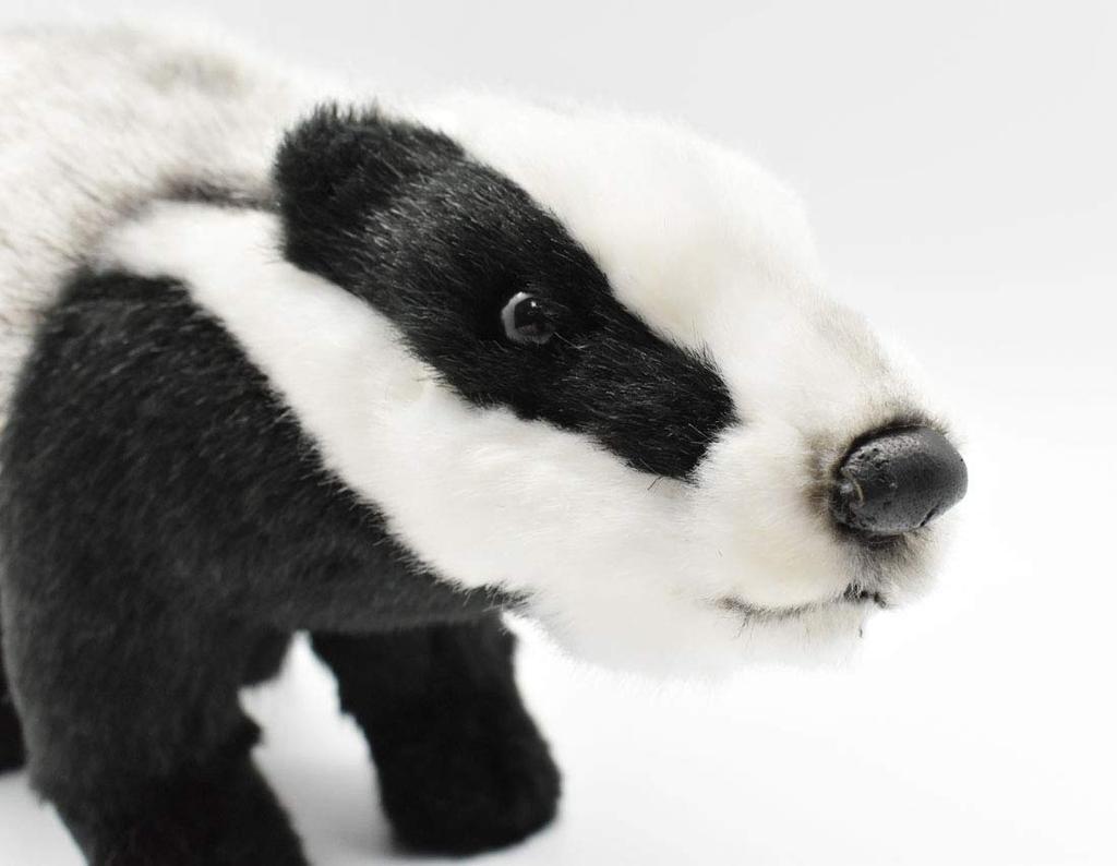 BH3483 HANSA Badger 30