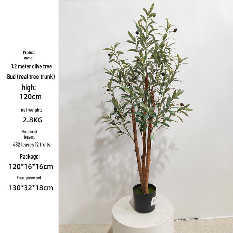 Olive Tree Potted Plant - Indoor Decor Simulation for Living Room