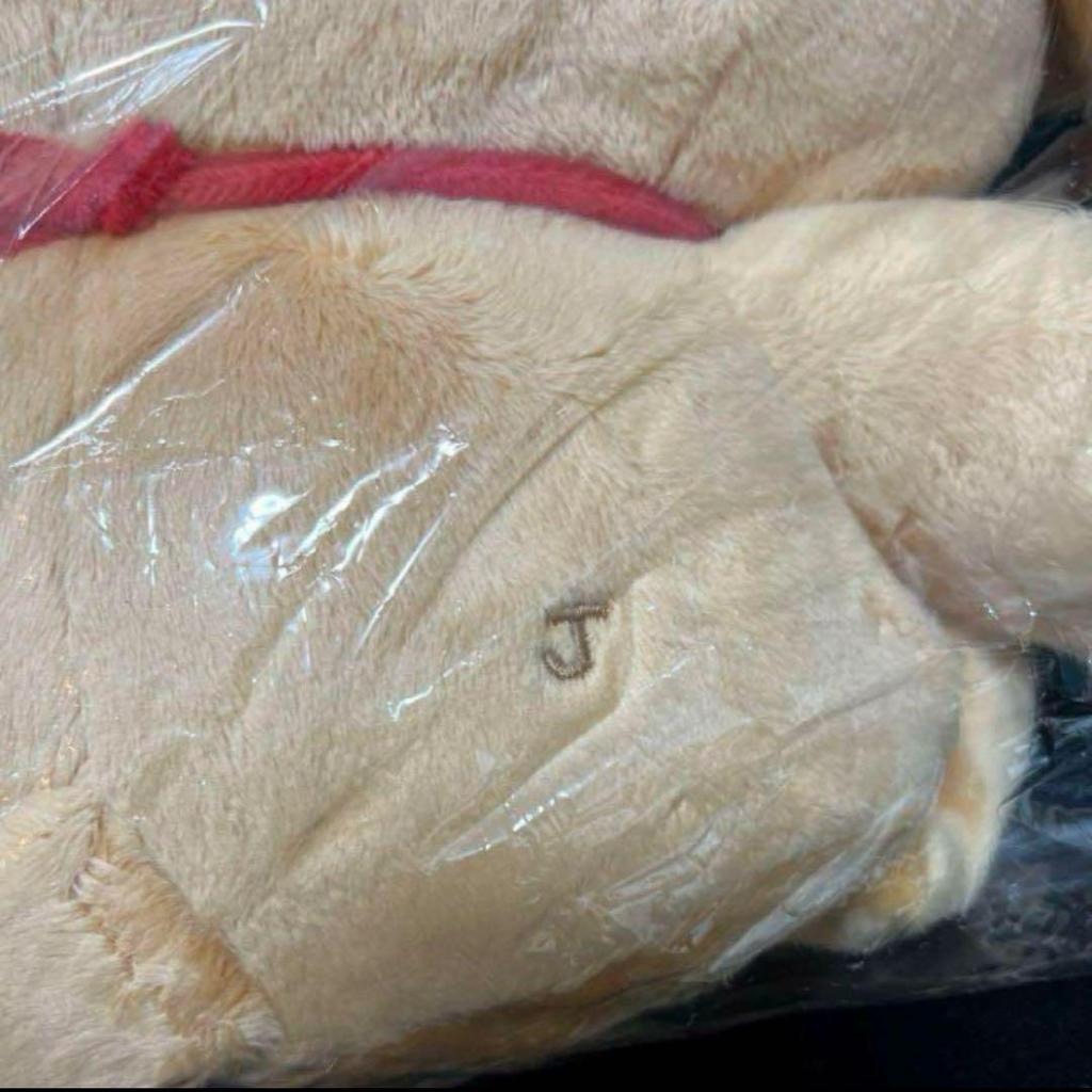 [Б/У] ENHYPEN Джейк Плюшевая игрушка 40 см Кукла Мастер Эннималс