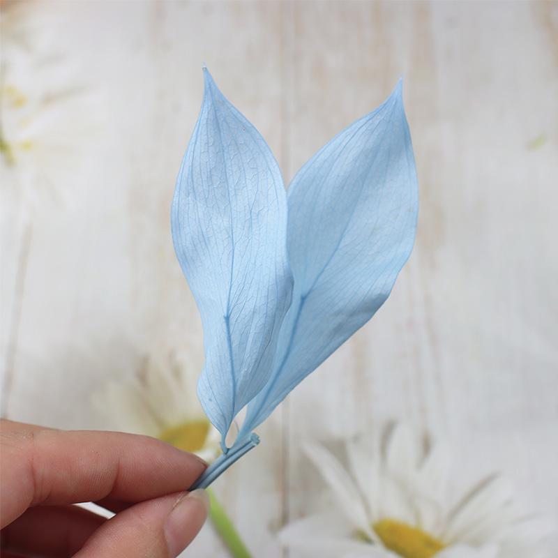 DIY Floral Art Ornament: Preserved Tangerine & Fishtail Leaf, Lily, Bamboo Dried Flowers – Ikebana Photo Prop for Home Décor.