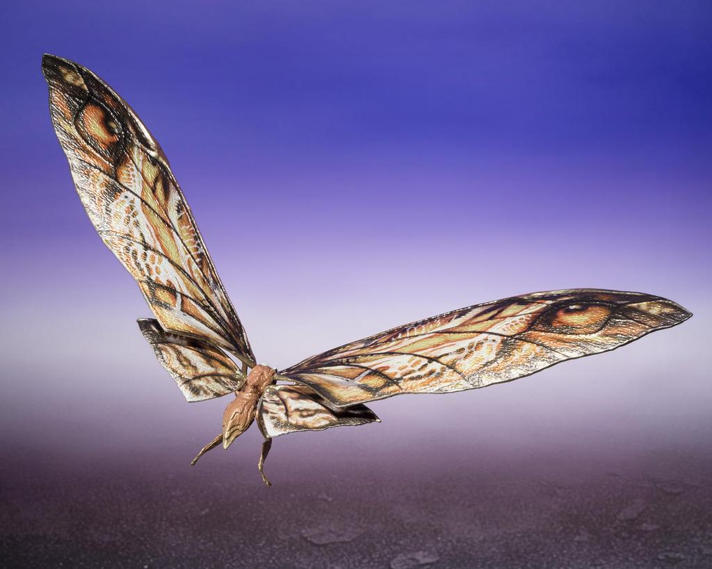 TAMASHII NATIONS Годзилла против Конга Новая империя Годзилла против Скора Новая империя Фигурка Bandai Spirits Конг и Мотра (2024) SHMonsterArts