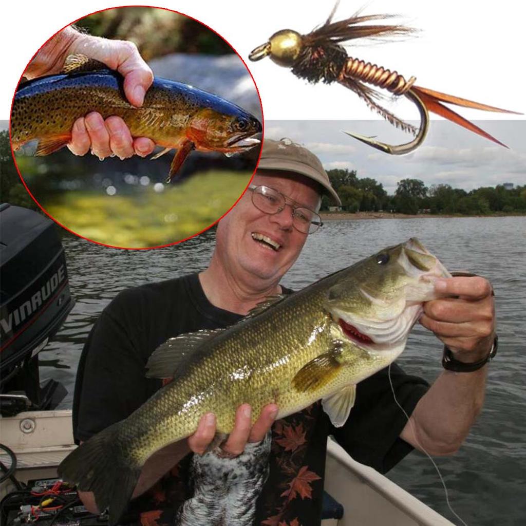 15Pcs/Box Brass Bead Head Fast Sinking Fly Fishing Bait/Humpy Fly Bait Fishing For Trout Flies Artificial Insect Fishing Bait Lure