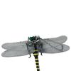 Jokes PVC 12cm Animal Model Dragonfly Action Figures Insects Model Dragonfly Model Animal Figures